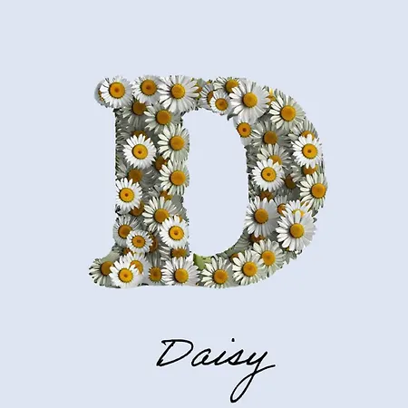 Апартаменты Daisy Out In Bela Reka *