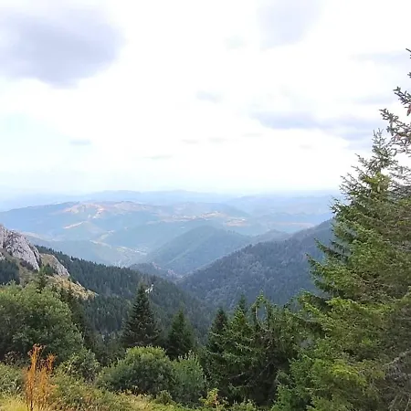 Daisy Out In Bela Reka Апартаменты *