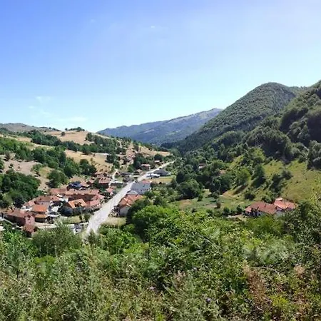 Daisy Out In Bela Reka *