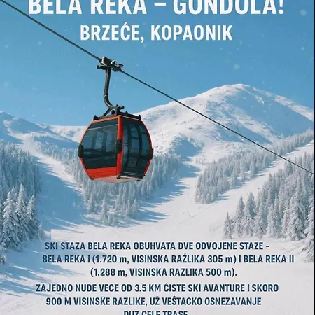 Daisy Out In Bela Reka